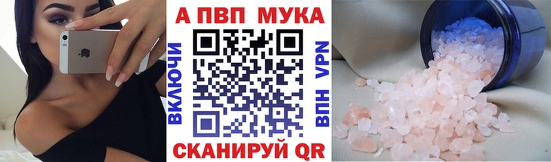 A PVP СК  Жиздра 