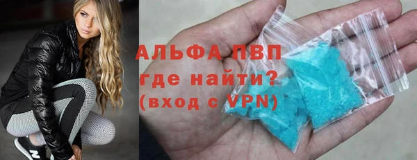 молекула духа Богданович