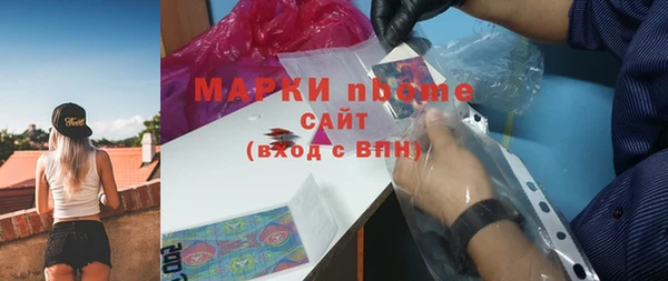 молекула духа Богданович