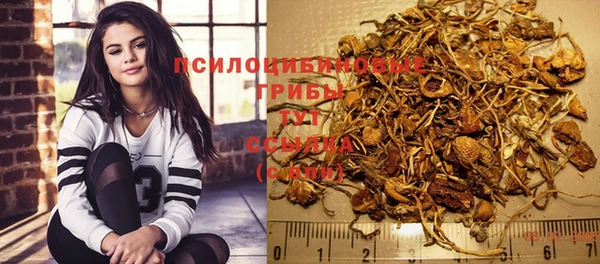 спиды Слюдянка