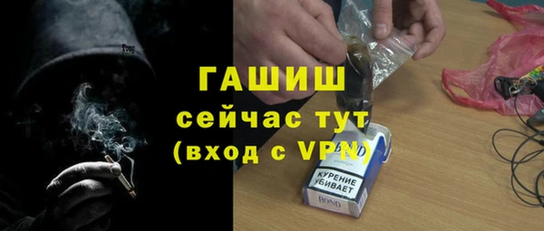 молекула духа Богданович
