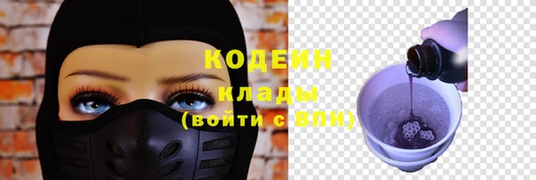 молекула духа Богданович