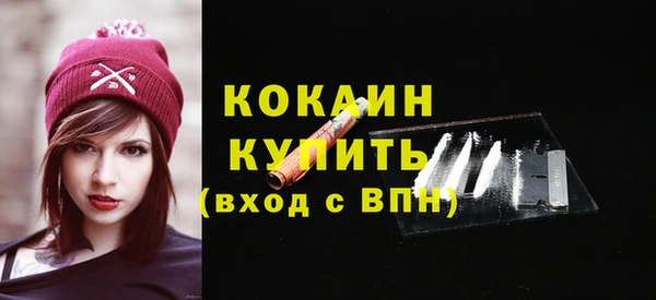молекула духа Богданович