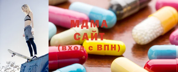 молекула духа Богданович