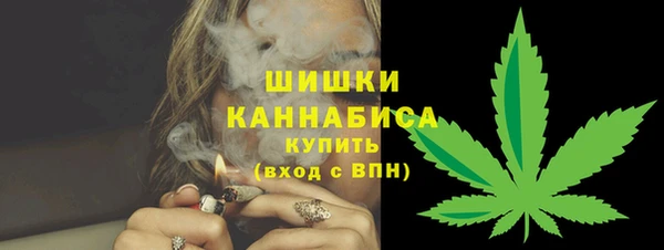 тгк Богородск