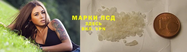 молекула духа Богданович
