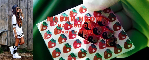 молекула духа Богданович