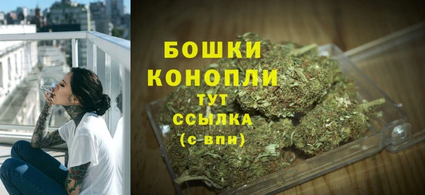 молекула духа Богданович