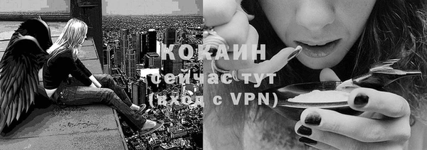 тгк Богородск