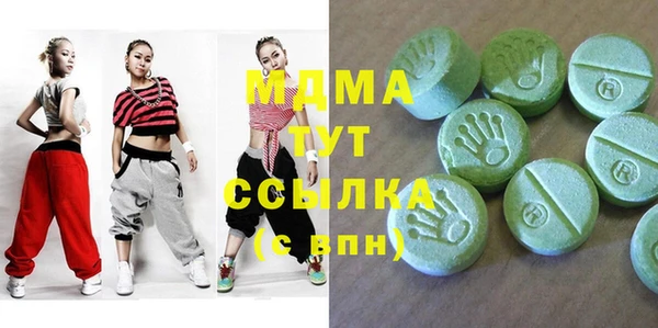 молекула духа Богданович