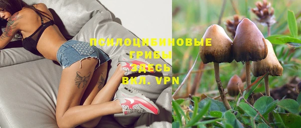 тгк Богородск