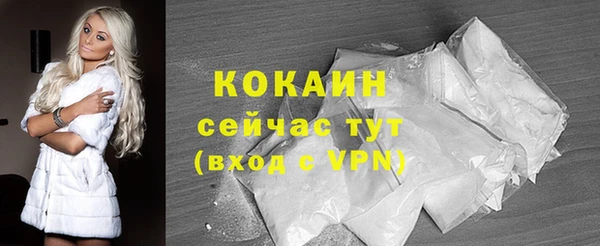 молекула духа Богданович